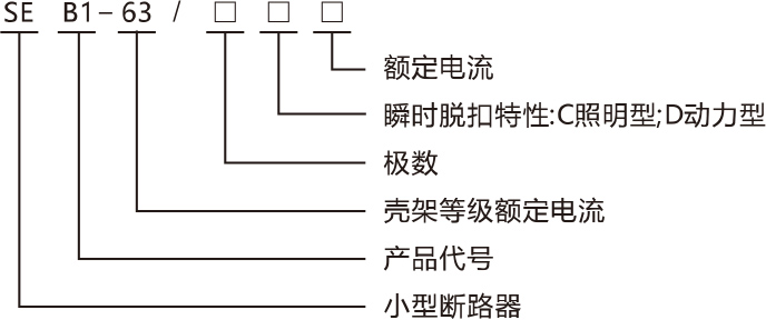 SEB1 L- 63系列漏电断路器产品命名规则.jpg